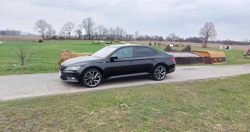 Skoda Superb cena 69990 przebieg: 304000, rok produkcji 2017 z Strzegom małe 232